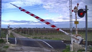 Spoorwegovergang Adelfia I  Railroad crossing  Passaggio a livello [upl. by Alys]