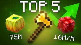 TOP 5 Money Making Methods Hypixel Skyblock [upl. by Etezzil]