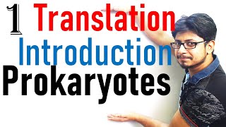 Translation in prokaryotes introduction  prokaryotic translation lecture 1 [upl. by Noivart]