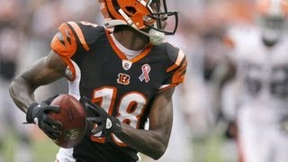 AJ Green 20122013 Highlights  HD [upl. by Marley685]