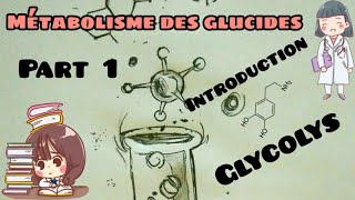 Métabolisme des glucides  introduction les étapes de glycolyse part 1 [upl. by Albie]