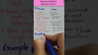 Difference Between Rhizome and CormUnderground Stems Rhizome vs Corm biology botany [upl. by Arayc]