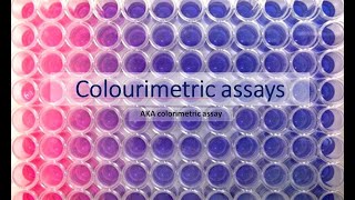 Colourimetric assays aka colorimetric assays What are they and how do they work [upl. by Gibe]