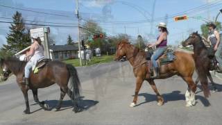 Randonnée à cheval au fleuve 22 mai 2016 quotLe retourquot [upl. by Idnib]