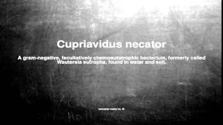 Medical vocabulary What does Cupriavidus necator mean [upl. by Aimerej707]