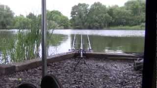 Fenland Dreams  Carp Fishing [upl. by Doowrehs]