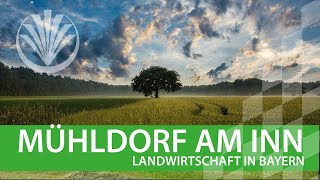 Landwirtschaft in Bayern Landkreis Mühldorf in Oberbayern [upl. by Kenay]