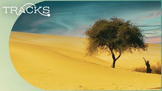 Thar Indias Great Desert Documentary Animation Segments [upl. by Aicnilav]