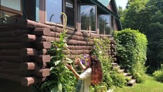 Mullein  A Walk in the Garden with Herbalist Rosemary Gladstar [upl. by Maud]