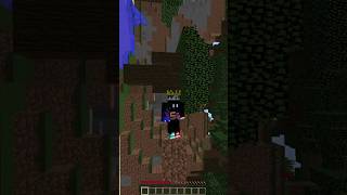 Minecraft but its Sideways minecraft shorts [upl. by Scarito]