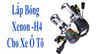 Bóng Đèn Pha Cốt Xenon H4 Siêu Sáng Cho Xe Hơi Thay Đơn Giản Nhất Hiện Nay [upl. by Aleacem]