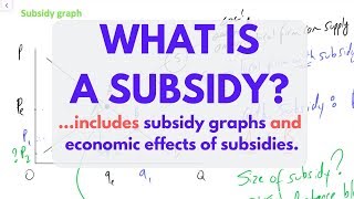 What is a SUBSIDY Subsidies EXPLAINED [upl. by Ecirtel991]