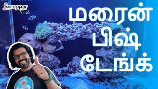 How to Set Up Marine Fish Tank in TAMIL  Easy StepbyStep Guide [upl. by Kcirej188]