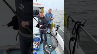 Conger Eel and Kris Sea fishing big conger eel boat fishing 4K fishing ok 👌🏻 [upl. by Albright406]