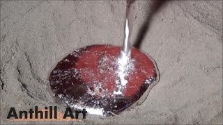 Casting a Carpenter Ant Colony with Molten Aluminum Cast 042 [upl. by Gabbey]