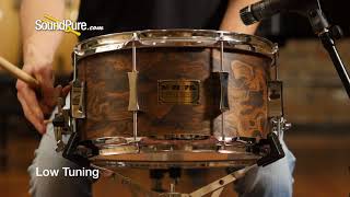 Pork Pie 7x13 Maple Snare Drum Walnut Roots Veneer Quick n Dirty [upl. by Heman205]