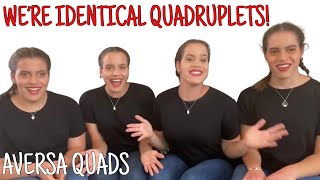 Welcome to Aversa Quads Identical Quadruplets YouTube Channel [upl. by Seaman]