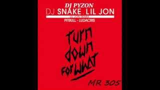 DJ SNAKE ft LIL JON amp PITBULL amp LUDACRIS quot Turn Down For What quot  dj pyzon remix [upl. by Lazor]