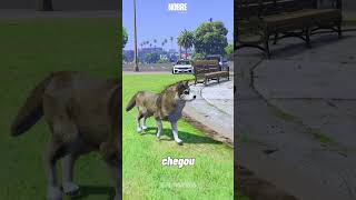 CHAMEI a POLICIA e VIREI CACHORRO na ENGANAR eles no GTA RP 🤣 gtarp fivem gtaroleplay Vieir4x [upl. by Anitteb44]