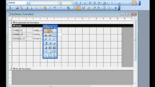 Access 2003 Insertar calendario en un formulario  wwwofimaticaparatorpescom [upl. by Trudi]