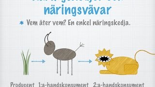 Näringskedjor och näringsvävar gammal [upl. by Tullius]