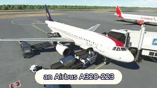 TACA airlines Flight 390 A Simulation of the Tegucigalpa Crash [upl. by Marriott]