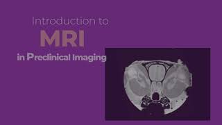 Explained Preclinical Multimodal Imaging  MRI [upl. by Garcia]