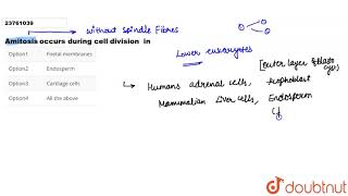 Amitosis occurs during cell division in [upl. by Ahsropal]