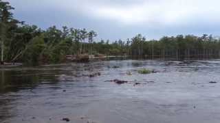 Kamera nagrała jak powstają ogromne dziury w ziemi  sinkhole leje krasowe HD [upl. by Llib850]