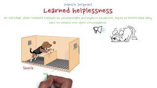 Learned helplessness theory [upl. by Dulciana]