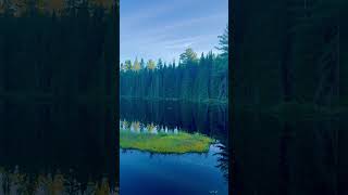 Algonquin National Park [upl. by Golden631]