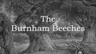 Burnham Beeches The Song [upl. by Nirac]