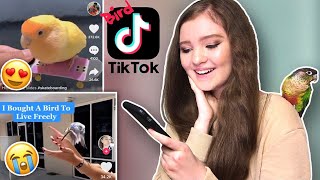 Reacting to Viral Bird Tiktoks [upl. by Clymer]