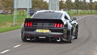 BEST OF FORD MUSTANG SOUNDS Shelby GT500 Alphamale Widebody GT350 RTR Widebody Royal Crimson GT [upl. by Ennaylloh592]