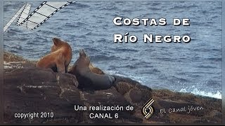 COSTAS DE RÍO NEGRO Documental [upl. by Enitnemelc884]