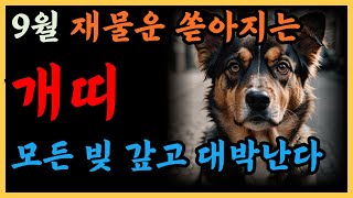 2024년 하반기 갑진년 재물운 대박나는 9월 개띠 운세 귀인이 찾아와 금전운 대박나서 모든 빚 갚게된다 94년 82년 70년 58년생 개띠운세 9월운세 [upl. by Kari]