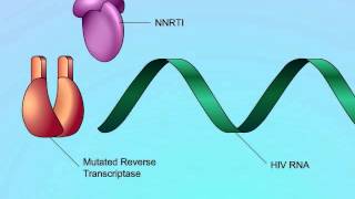 HIV Mechanisms of NNRTI Resistance [upl. by Oiralih816]