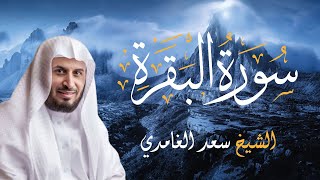 سورة البقرة  الشيخ سعد الغامدي  Cheikh Saad Al Ghamdi  Sourate AlBaqarah [upl. by Aihsat]