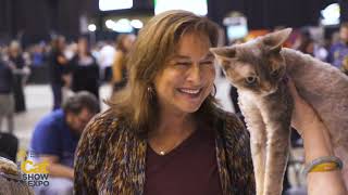 CFA International Cat Show and Expo  The Largest Cat Celebration in the World [upl. by Meilen]