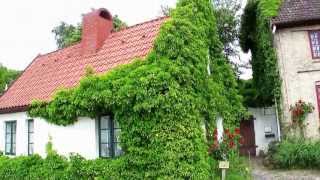 Romantik house germany with green plants romantisch bewachsenes Haus in Neustadt Holstein Ostsee [upl. by Nnagrom109]