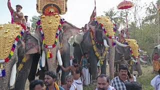 UTHRALIKAVU POORAM [upl. by Jed]