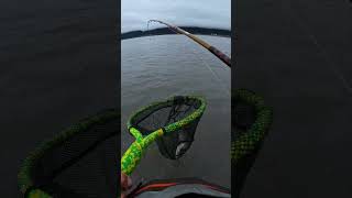 Trudave Waders amp Boot alaska hmong fishing salmonfishing [upl. by Siskind]