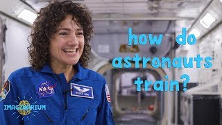 How Do NASA Astronauts Train [upl. by Almeria]