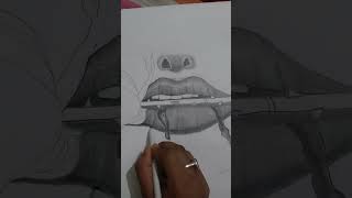 a beautiful lip with rose by anus art  pencil skecth  realistic art [upl. by Aillij]