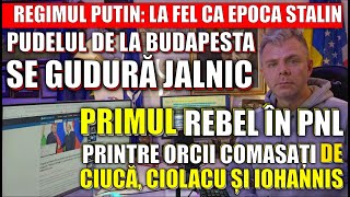 PRIMUL REBEL în PNL între ORCII COMASAȚI de Ciucă și Ciolacu PUDELUL Orban se GUDURĂ la NOUL STALIN [upl. by Ttennaej]