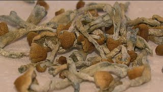 Microdosing magic mushrooms  A growing trend among San Diego moms [upl. by Sabba]