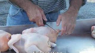 Poultry Processing Part 2 [upl. by Mastrianni]