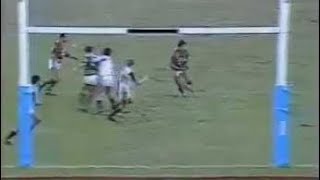 SOUTH SYDNEY RABBITOHS 1989 [upl. by Ayekehs453]