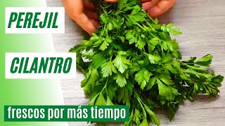 Como Conservar Hierbas Aromáticas Frescas  Perejil y Cilantro Frescos Mucho más Tiempo 75 [upl. by Llorre]