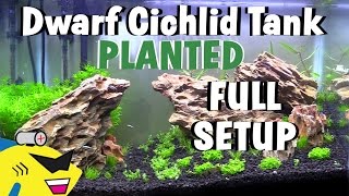 DWARF CICHLID PLANTED AQUARIUM SETUP [upl. by Nylatsyrk]